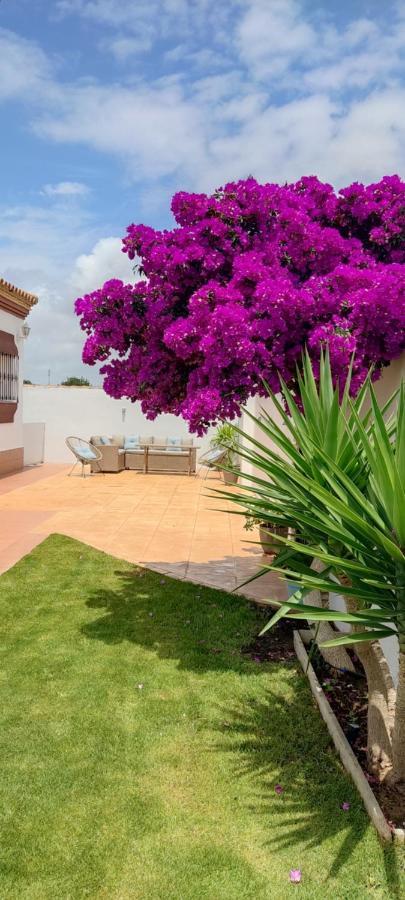 Chalet Hercules La Barrosa チクラナ・デ・ラ・フロンテーラ エクステリア 写真
